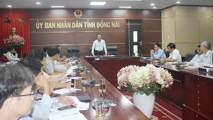 Ra mắt Ban Chỉ đạo phòng, chống khẩn cấp dịch tả heo châu Phi tỉnh Đồng Nai