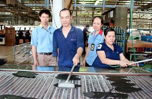 Hỗ trợ lao động khuyết tật vươn lên