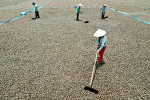 40 năm giải phóng Xuân Lộc: Diện mạo mới trên vùng đất anh hùng