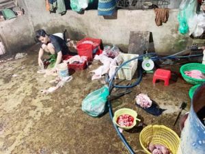 Xử lý triệt để các lò giết mổ lậu mùa dịch bệnh