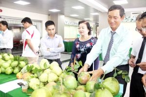 Vượt thách thức để hội nhập