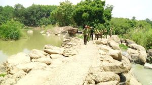 Giữ cho rừng mãi xanh