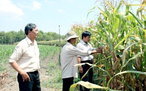 Kỷ niệm 40 năm giải phóng: Xuân Lộc vững bước đi lên