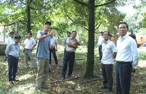 Khảo sát vùng phát triển nông nghiệp công nghệ cao ở huyện Vĩnh Cửu