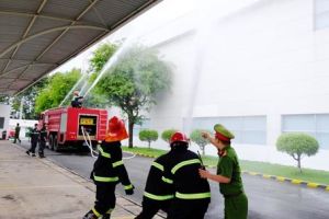 Vào mùa dịch sốt xuất huyết