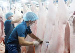 Người chăn nuôi lo lắng vì thịt nhập