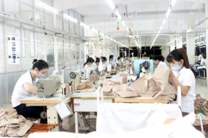 Doanh nghiệp “đua” với các FTA