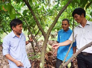 Thành quả bước đầu trong xây dựng xã hội học tập