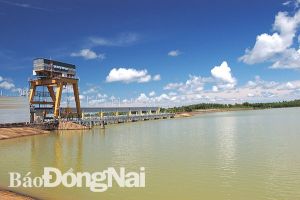Đề xuất 8 dự án điện mặt trời trên lòng hồ Trị An