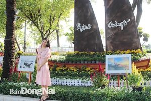 Chủ đề đường hoa Nguyễn Văn Trị - Tết Nguyên đán Canh Tý 2020: “Biên Hòa - Tết an vui - Xuân tài lộc"