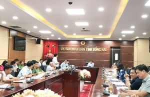 Đồng Nai đã chi 202 tỷ đồng hỗ trợ các hộ có heo bị dịch tả