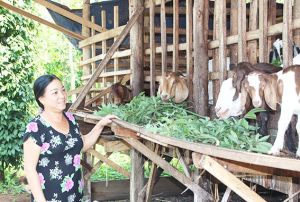 Hành trình thoát nghèo của Lâm San