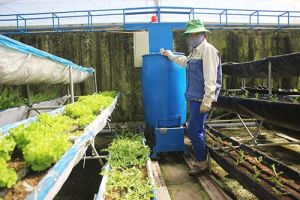 Đưa bài học vào thực tế