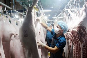 Khuyến khích doanh nghiệp đầu tư, ổn định thị trường