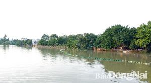 Xây công viên và kè sông Đồng Nai