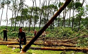 Cảng hàng không quốc tế Long Thành: Huyện Long Thành đã đo đạc, kiểm đếm khu vực ưu tiên đạt hơn 95%