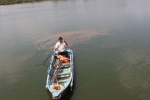 Phát triển vùng cá VietGAP ven sông