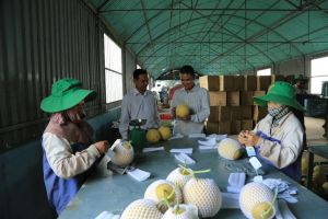 Đảng bộ huyện Xuân Lộc: Nhiều bài học kinh nghiệm quý