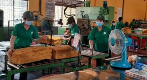 Tính “đường dài” cho ngành cao su Đồng Nai