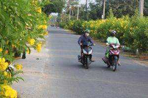 Nông thôn mới kiểu mẫu chưa là kết thúc