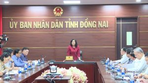 Không có nguy cơ lây lan ra cộng đồng từ ca nhiễm Covid-19 từ chuyên gia Ấn Độ