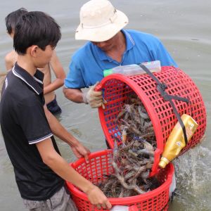 Phát triển ngành nuôi trồng thủy sản