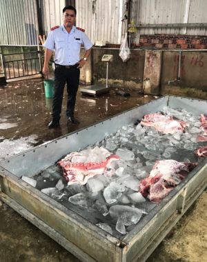 Xử phạt cơ sở giết mổ heo không phép