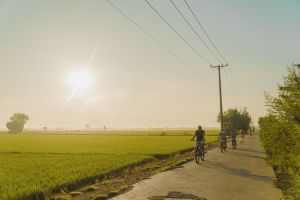 Xã đầu tiên của huyện Tân Phú đạt chuẩn Nông thôn mới nâng cao