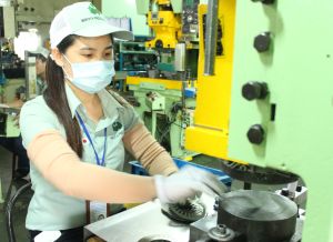 Huyện Nhơn Trạch có 515 dự án đầu tư