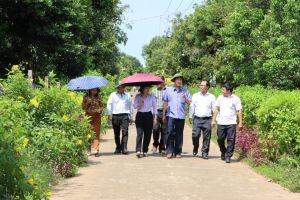 Huy động hơn 8,3 ngàn tỷ đồng xây dựng nông thôn mới kiểu mẫu