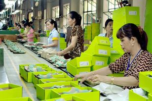 Thúc đẩy bình đẳng cho lao động nữ