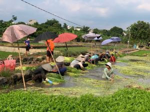 Sở Nông nghiệp hỗ trợ kết nối tiêu thụ nông sản