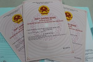 Sẽ giải quyết hồ sơ đất đai qua 2 hình thức