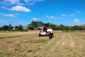 Đồng Nai, “điểm sáng” của cả nước trong xây dựng nông thôn mới