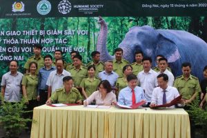 Bàn giao thiết bị giám sát voi cho Chi cục Kiểm lâm Đồng Nai