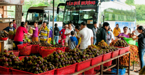 Long Khánh tổ chức Lễ hội trái cây lần thứ IV năm 2022