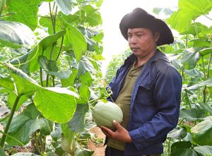 Nhơn Trạch, Long Thành đón nhận danh hiệu nông thôn mới