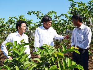 Tiếp tục khơi sức dân cùng tham gia xây dựng nông thôn mới