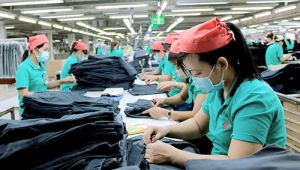 Tích cực phát huy vai trò của phụ nữ