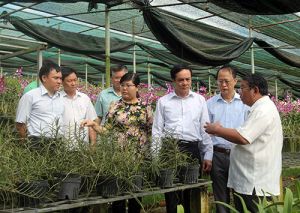 Khoa học công nghệ đóng góp quan trọng vào quá trình phát triển của tỉnh