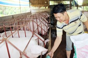 Chọn thịt an toàn bằng điện thoại thông minh