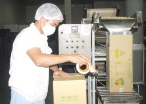 Cổ phần hóa và thoái vốn doanh nghiệp nhà nước: Đang kịp lộ trình