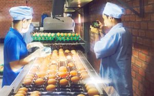 Nông dân thời mở cửa