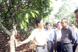 Xây dựng nông thôn mới: Chậm mà chắc