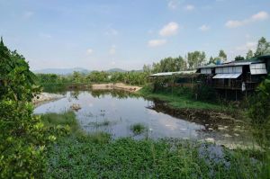 Trại heo của Công ty Huỳnh Gia Phúc bị đình chỉ hoạt động
