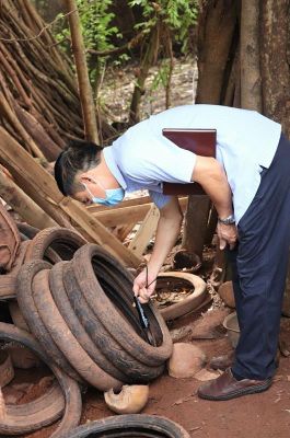 Số ca mắc và tử vong do sốt xuất huyết cao nhất trong 20 năm