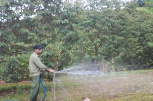 Tổng nguồn vốn Quỹ hỗ trợ nông dân tỉnh đạt hơn 137 tỷ đồng