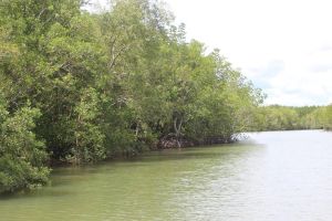 Đồng Nai thu gần 29,5 tỷ đồng tiền dịch vụ môi trường rừng