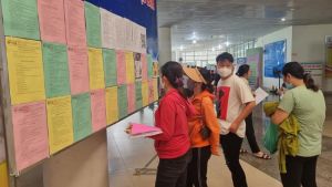 Doanh nghiệp có nhu cầu tuyển hơn 1,3 ngàn lao động