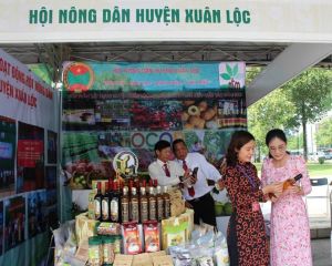 Vượt 12,5% mô hình ứng dụng công nghệ cao